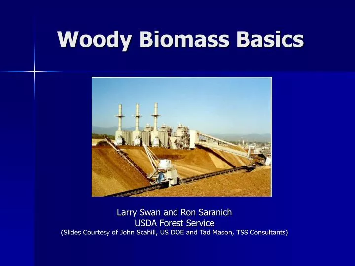woody biomass basics