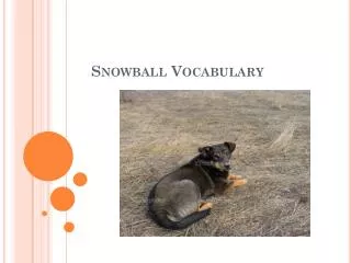 Snowball Vocabulary