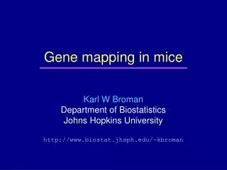 Gene mapping in mice