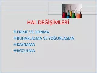 hal de mler