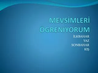 mevs mler gren yorum