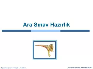 ara s nav haz rl k