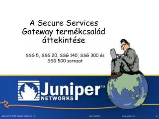 a secure services gateway term kcsal d ttekint se