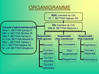 organigramme