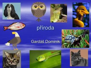 p roda