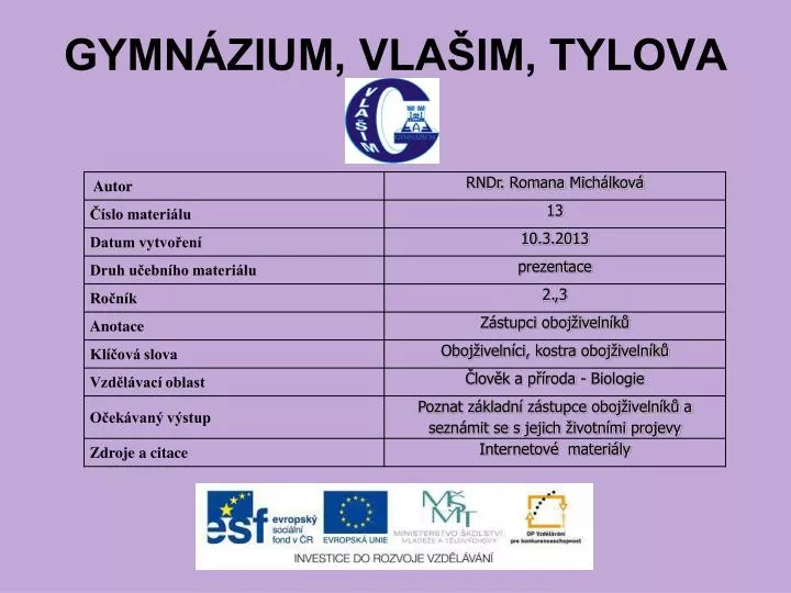 gymn zium vla im tylova