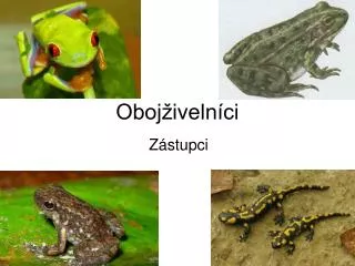 oboj iveln ci
