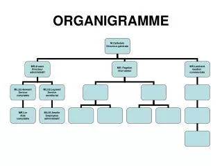 organigramme