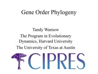 Gene Order Phylogeny