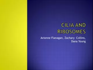 Cilia and Ribosomes