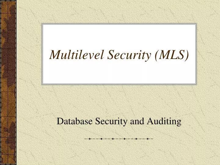 multilevel security mls