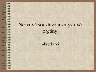 nervov soustava a smyslov org ny
