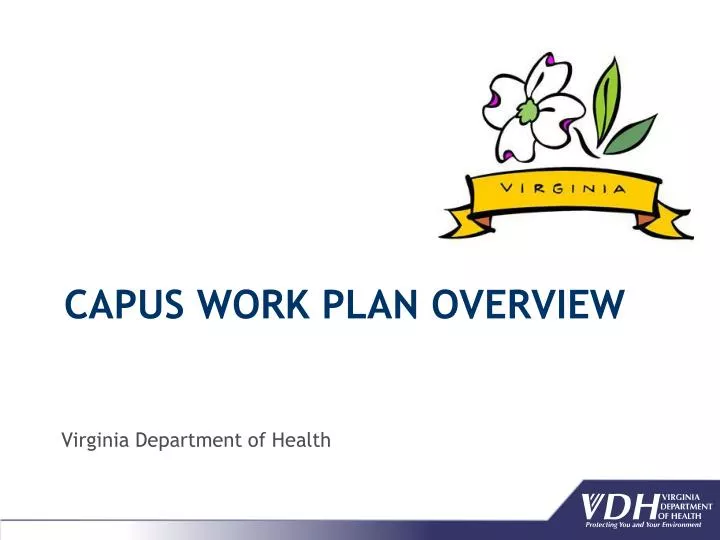 capus work plan overview