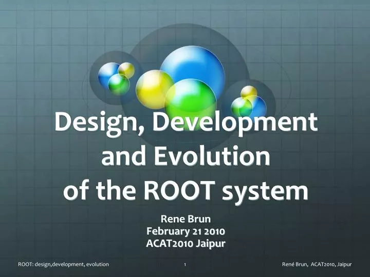 design development and evolution of the root system