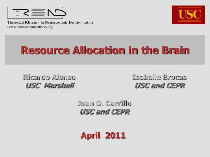 resource allocation in the brain