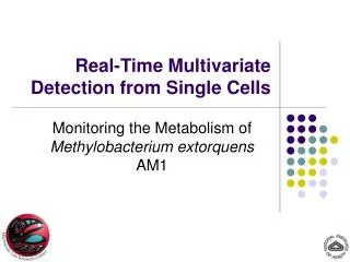 Real-Time Multivariate Detection from Single Cells