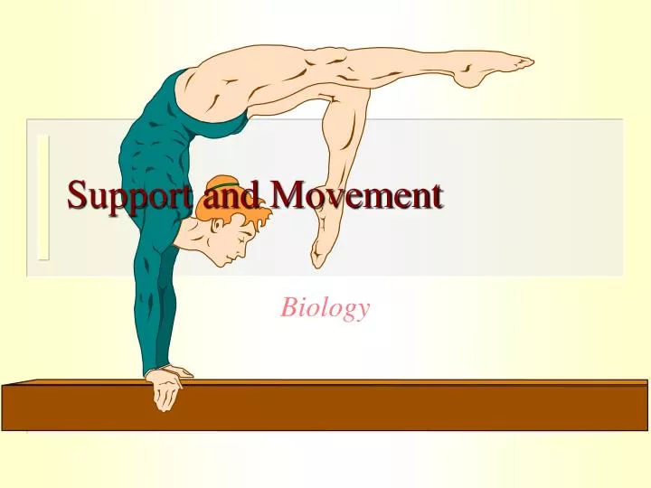 support and movement