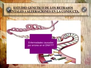 estudio genetico de los retrasos mentales y alteraciones en la conducta