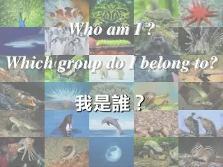 Who am I ?