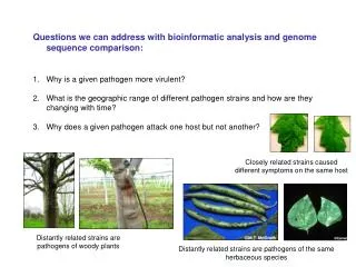 Questions we can address with bioinformatic analysis and genome sequence comparison: