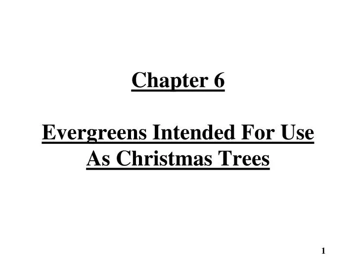 chapter 6 evergreens intended for use as christmas trees