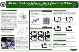 Inhibitors of Pantothenate Synthetase: Initiating a Quest for New TB Drugs