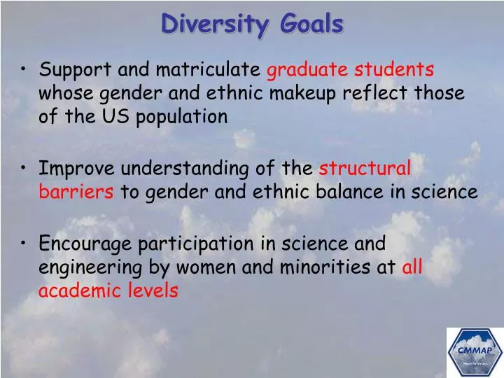 diversity goals