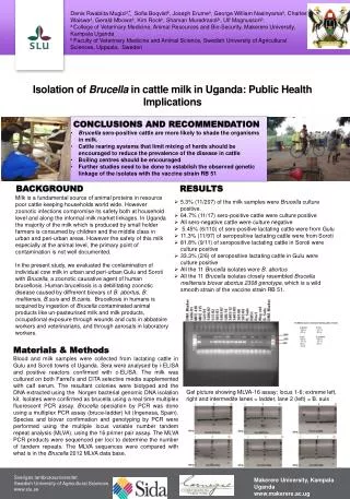 Isolation of Brucella in cattle milk in Uganda: Public Health Implications