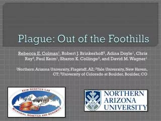 Plague: Out of the Foothills