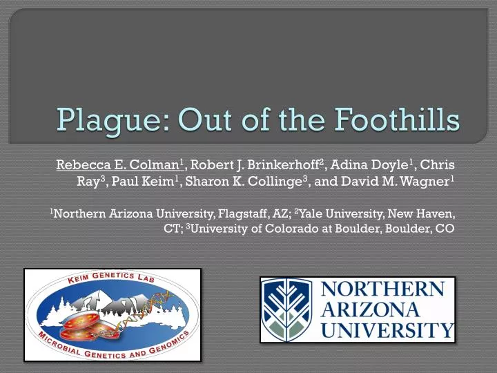 plague out of the foothills