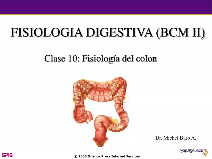 fisiologia digestiva bcm ii