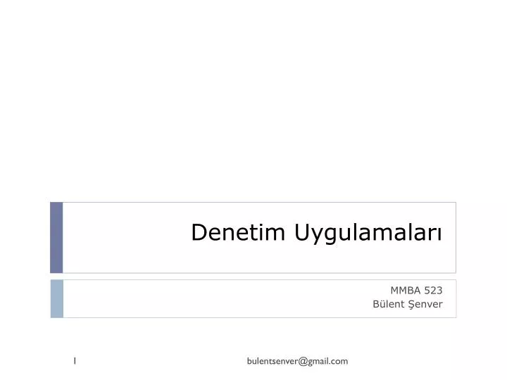 denetim uygulamalar