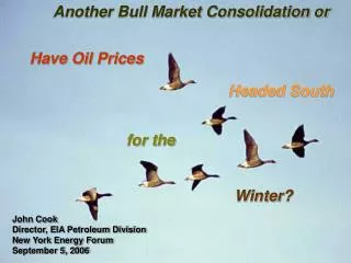 Have Oil Prices