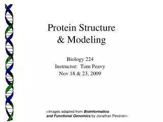 Protein Structure &amp; Modeling