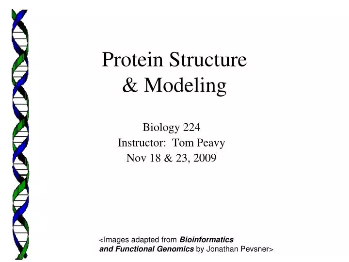 protein structure modeling