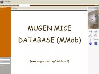MUGEN MICE DATABASE (MMdb) (mugen-noe/database/)