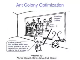 Ant Colony Optimization