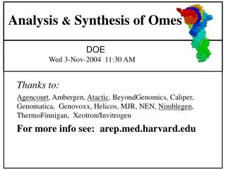 Analysis &amp; Synthesis of Omes