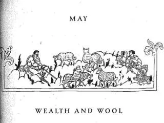 May Wealth and Wool