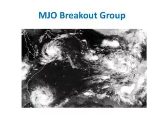 MJO Breakout Group