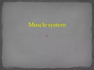 muscle system