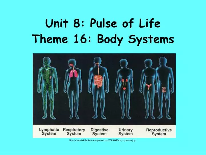 unit 8 pulse of life