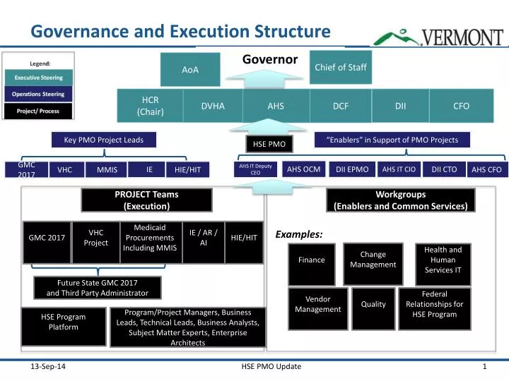 governance and execution structure