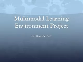 Multimodal Learning Environment Project
