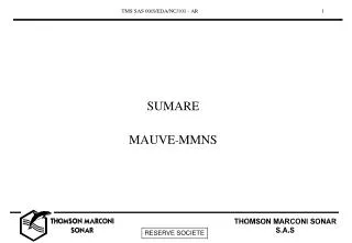 SUMARE MAUVE - MMNS