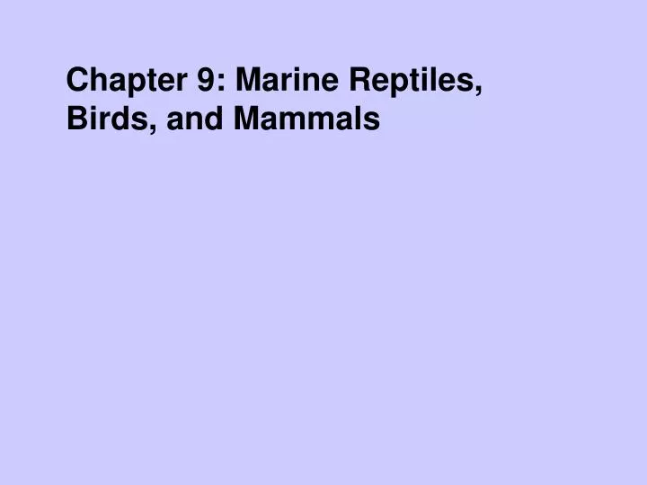 chapter 9 marine reptiles birds and mammals
