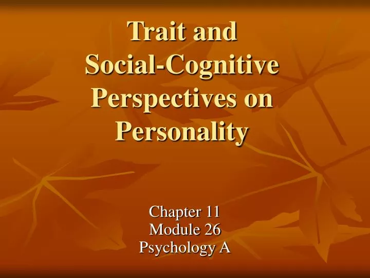 trait and social cognitive perspectives on personality
