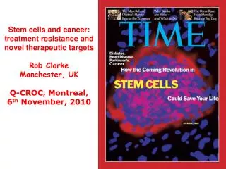 Stem cells and cancer: treatment resistance and novel therapeutic targets Rob Clarke