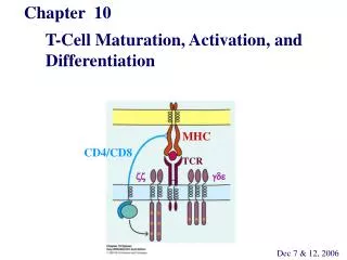 Chapter 10 T-Cell Maturation, Activation, and Differentiation