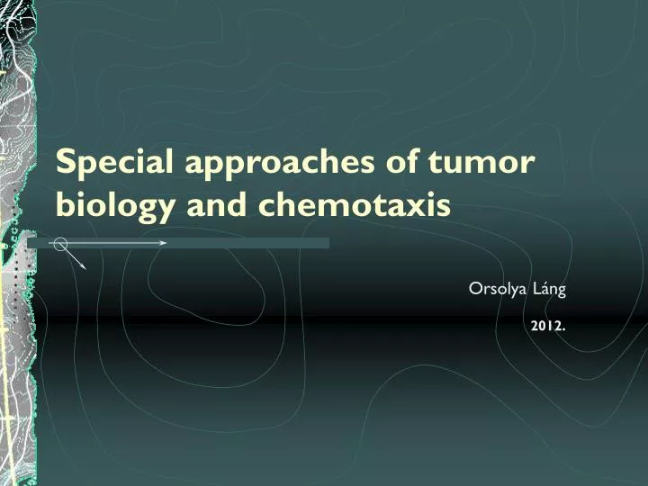 special approaches of tumor biology and chemotaxis